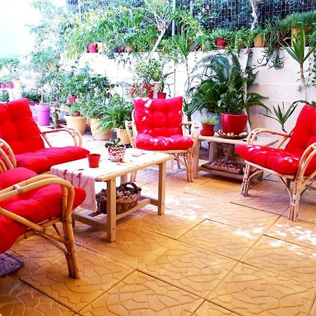 Zante Dahlia Hotell Laganas Exteriör bild