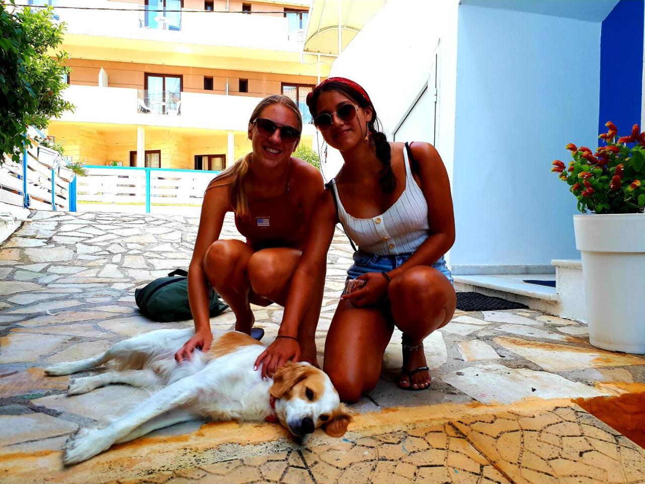 Zante Dahlia Hotell Laganas Exteriör bild