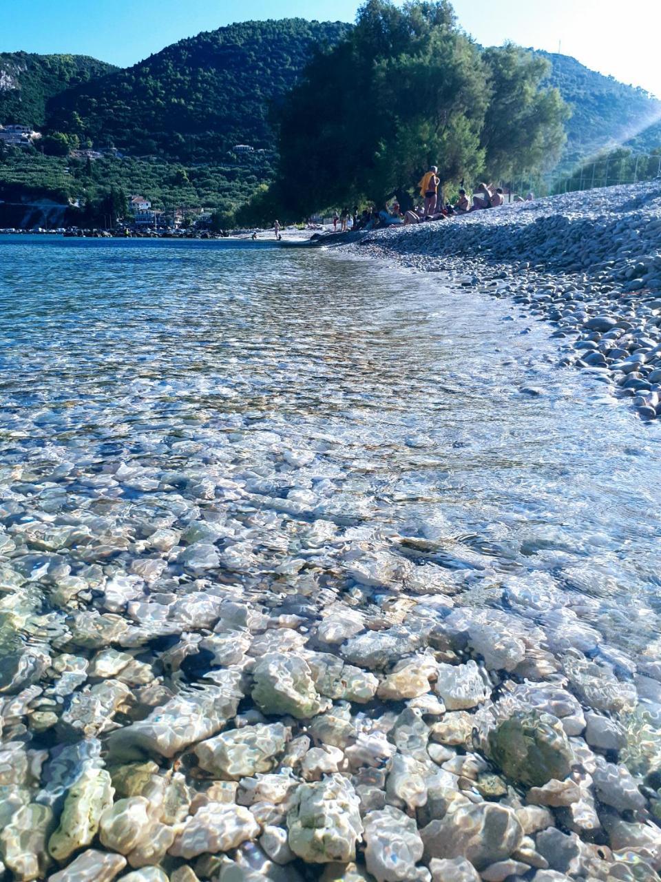 Zante Dahlia Hotell Laganas Exteriör bild