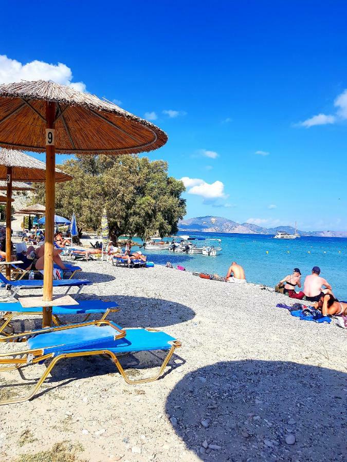 Zante Dahlia Hotell Laganas Exteriör bild
